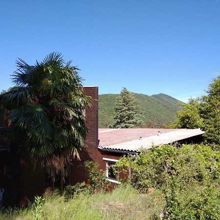 Pura Vida Bed & Breakfast Valleraugue Luaran gambar