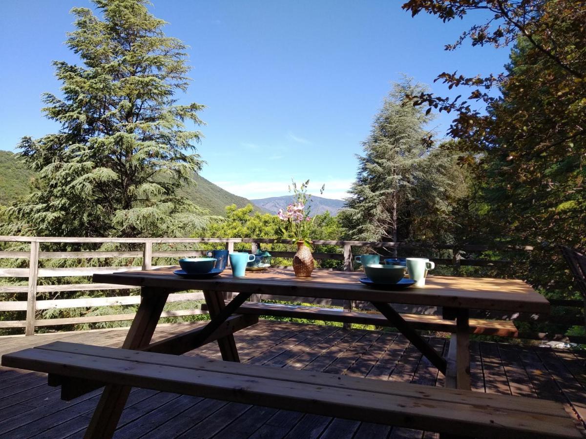 Pura Vida Bed & Breakfast Valleraugue Luaran gambar