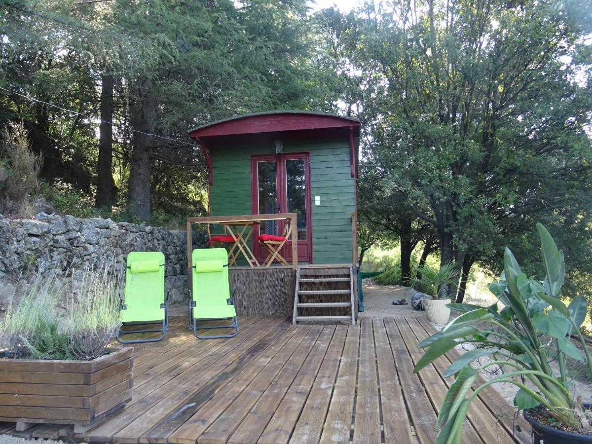 Pura Vida Bed & Breakfast Valleraugue Luaran gambar